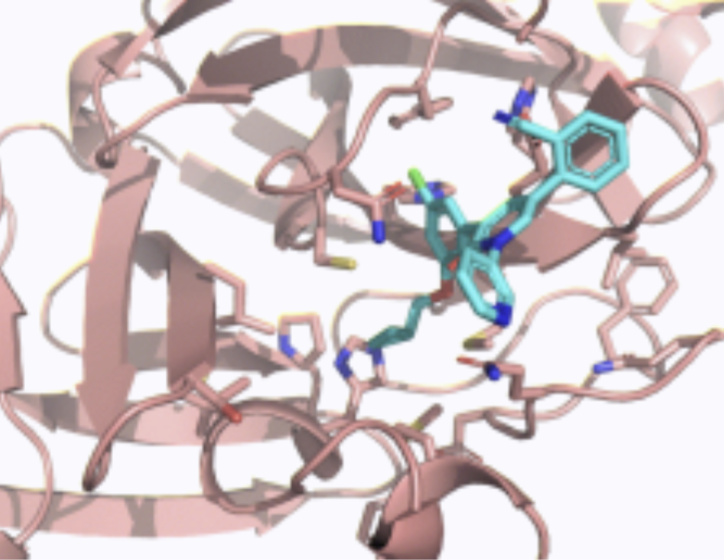 A potential drug inhibitor (cyan, sticks) docking into the SARS-CoV-2 main protease (pink, ribbons)